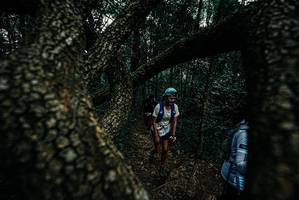 BIB: 
                            <button type="button" onclick="openModal(25689799)" class="btn btn-primary btn-sm float-right btn-popup" data-toggle="modal" data-target=".modal-high-quality">
                        <i class="fas fa-shopping-cart"></i> Add to Cart
                    </button>
                                            <button type="button" onclick="isThisMe(25689799, true)" class="btn btn-success btn-sm float-right btn-popup btn-isme hidden" data-toggle="tooltip" data-placement="bottom" title="นี่คือรูปของคุณใช่ไหม คลิกที่นี่เพื่อเอาเข้าอัลบั้ม">
                        <i class="fas fa-plus"></i> Add to album
                    </button>
                    <button type="button" onclick="isThisMe(25689799, false)" class="btn btn-warning btn-sm float-right btn-popup btn-isnotme hidden">
                        <i class="fas fa-ban"></i> Remove from album
                    </button>